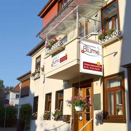 Appartementhaus Blume Bad Pyrmont Ngoại thất bức ảnh